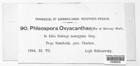 Phloeospora oxyacanthae image